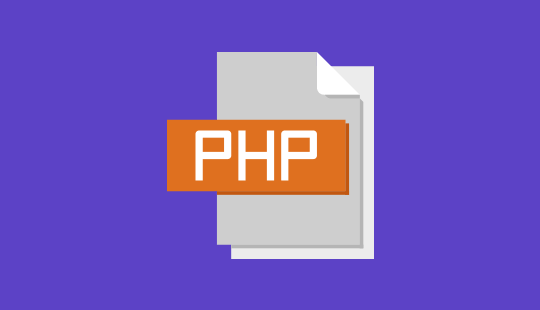 How-to-Hire-PHP-Programmer-for-Your-Next-Project-In-USA