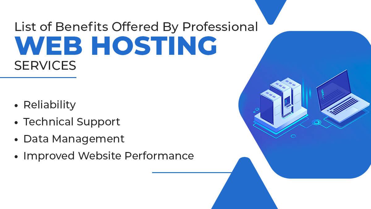 Benefits Offered By Professional Web Hosting Services