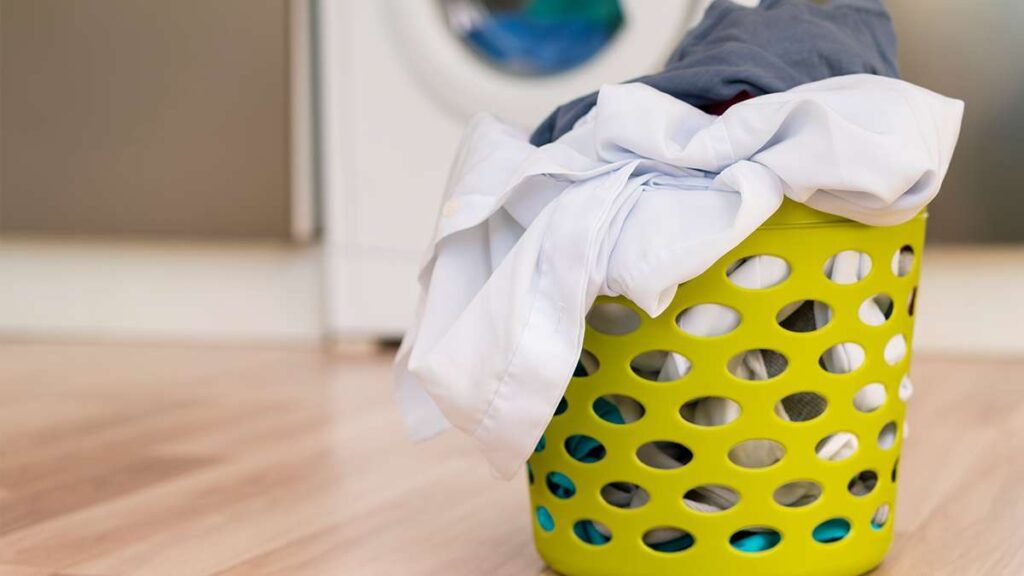 The Best Laundry Applications Trending Around The World
