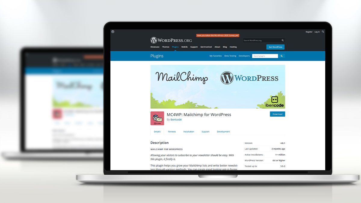 MailChimp- 14 Most Suitable WordPress Plugins For Digital Business Websites