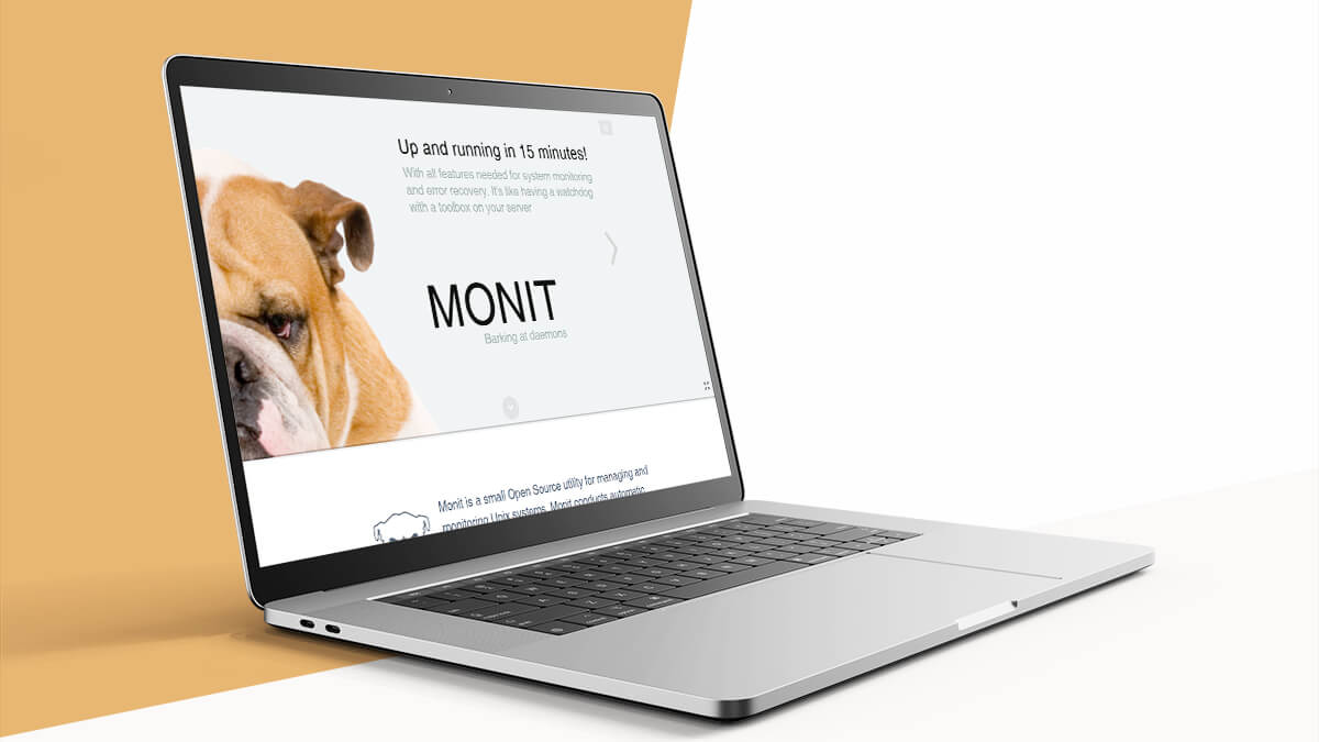 Monit- Best Productivity Tools For Web Developers 
