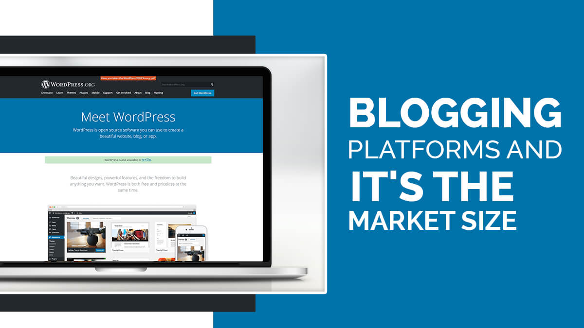 Blogging Platforms And It's The Market Size