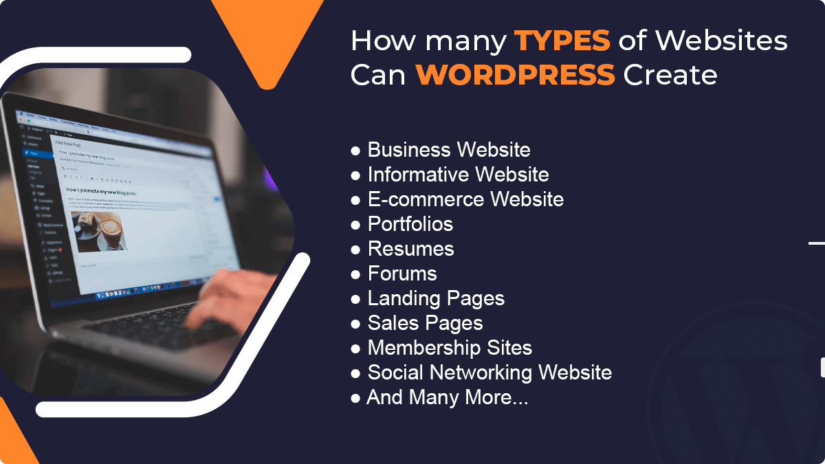 How Many Types of  Websites Can WordPress Create?